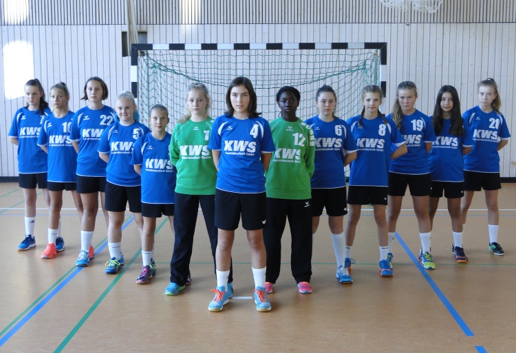 SVA-Team-2016